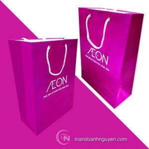 Túi Aeon